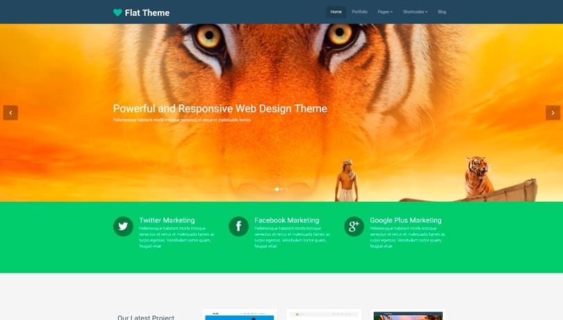 Flat-theme-wordpress