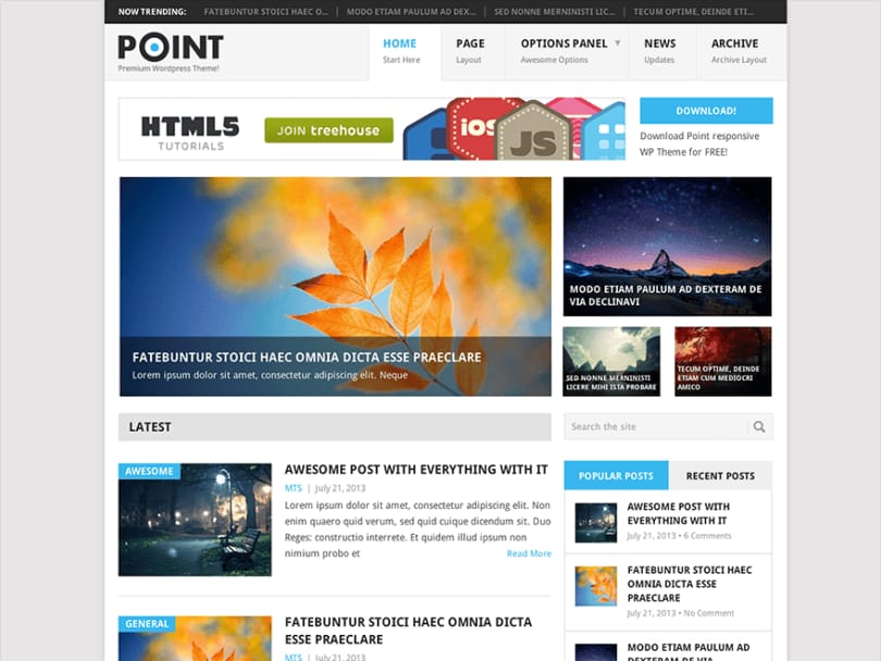 Point-wordpress-adsense